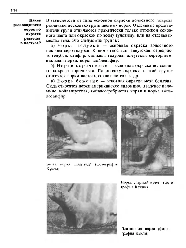 Малик В. - 1000 советов животноводам-любителям - Страница № 445