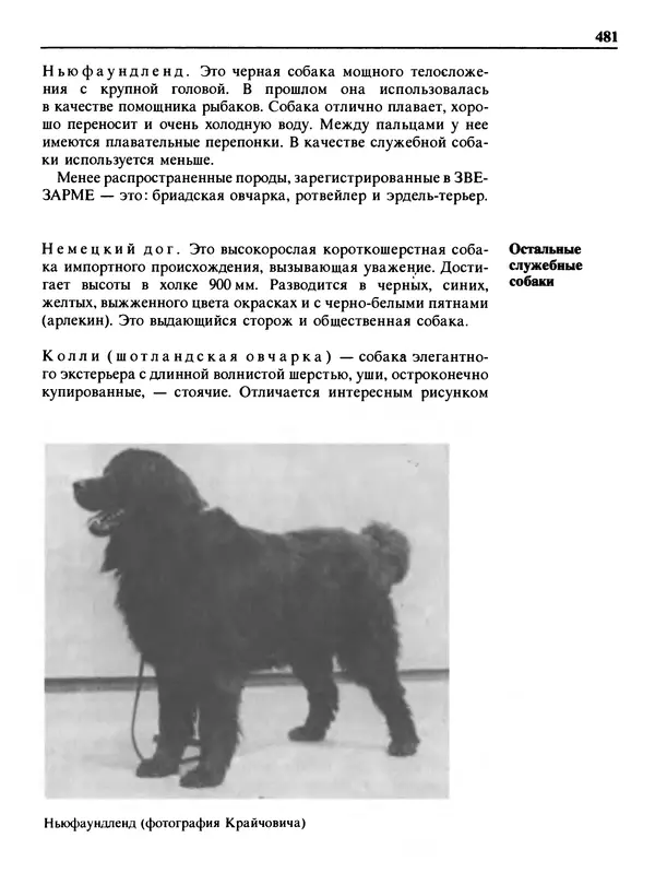 Малик В. - 1000 советов животноводам-любителям - Страница № 482