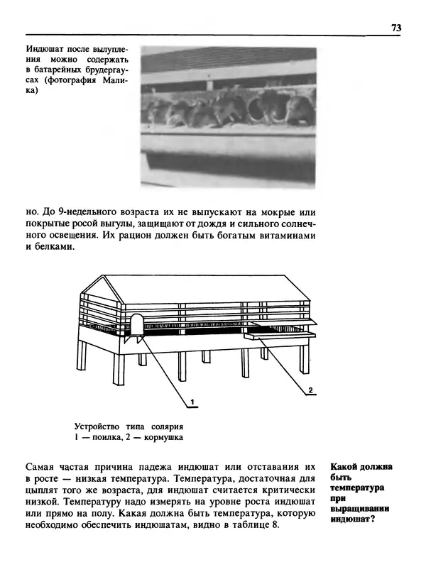 Малик В. - 1000 советов животноводам-любителям - Страница № 74