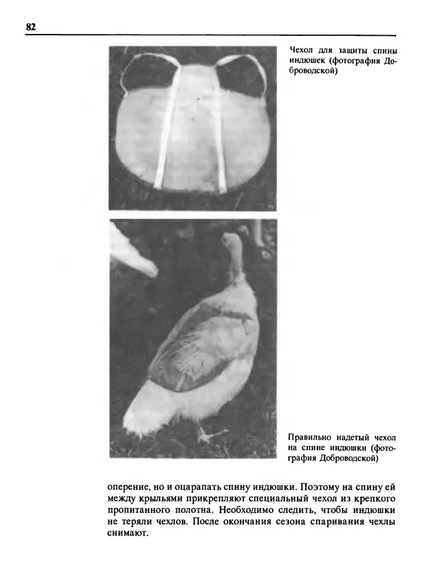 Малик В. - 1000 советов животноводам-любителям - Страница № 83