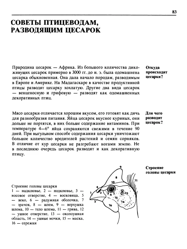 Малик В. - 1000 советов животноводам-любителям - Страница № 84