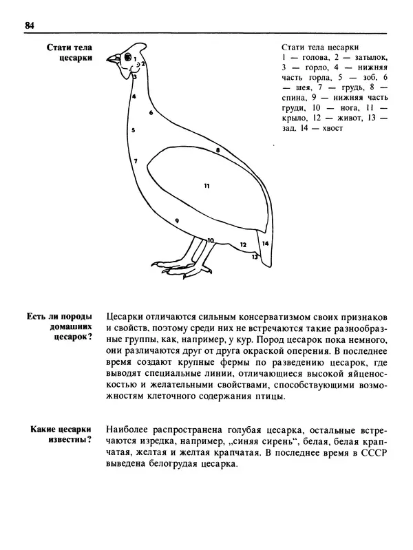 Малик В. - 1000 советов животноводам-любителям - Страница № 85