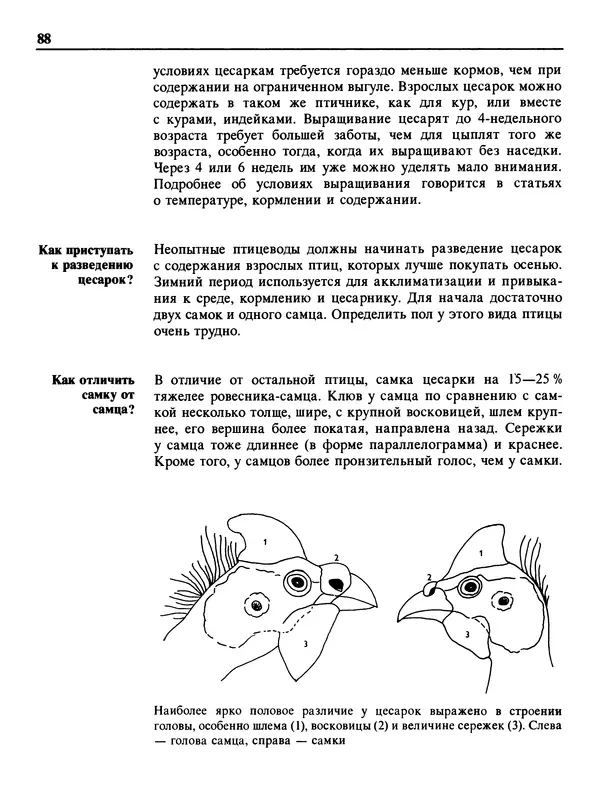 Малик В. - 1000 советов животноводам-любителям - Страница № 89