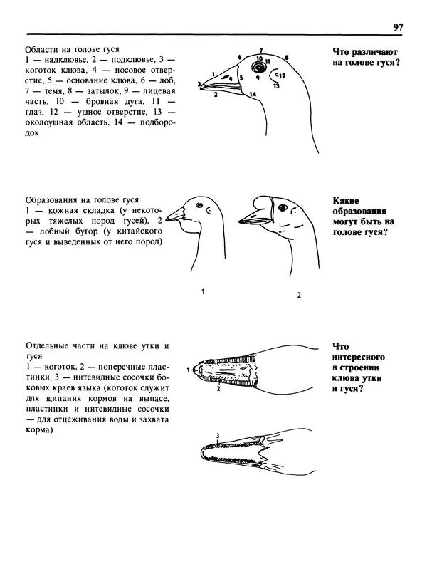 Малик В. - 1000 советов животноводам-любителям - Страница № 98