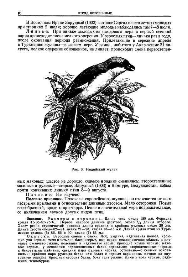  Коллектив авторов - Птицы Советского Союза. Том 6 - Страница № 10