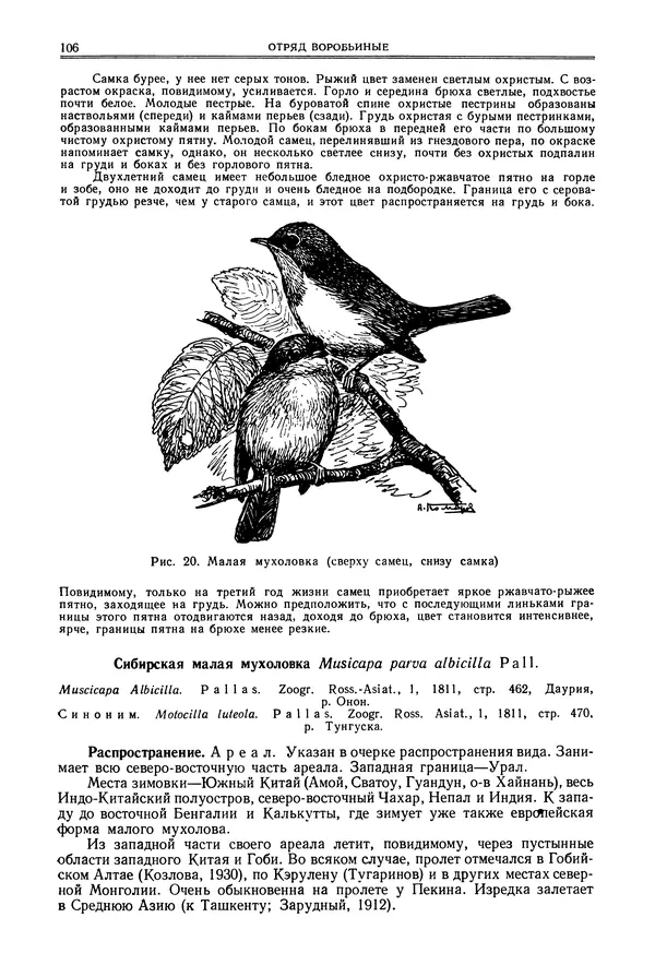  Коллектив авторов - Птицы Советского Союза. Том 6 - Страница № 106