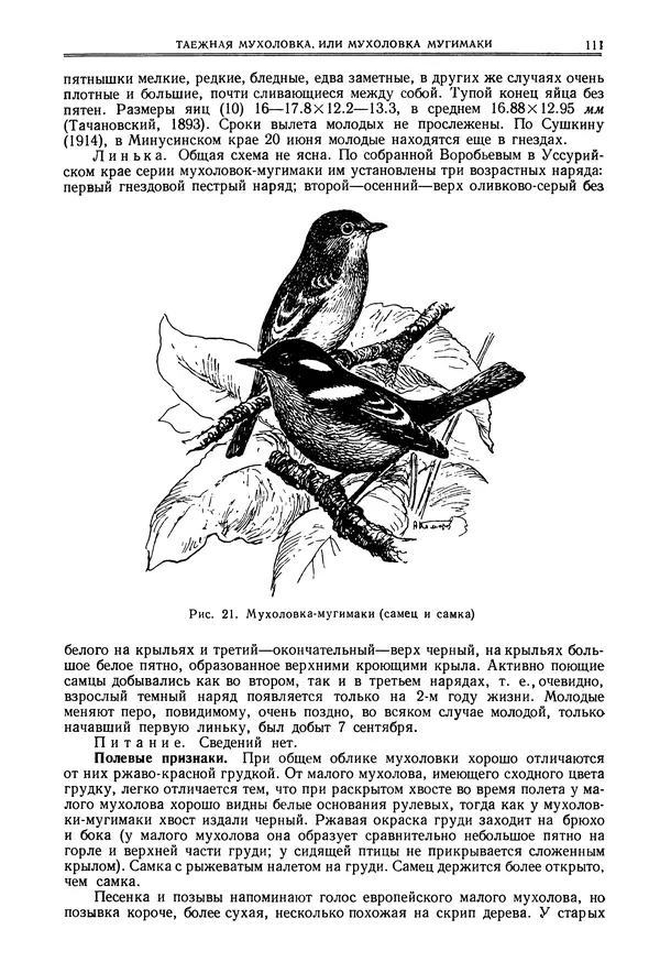  Коллектив авторов - Птицы Советского Союза. Том 6 - Страница № 111