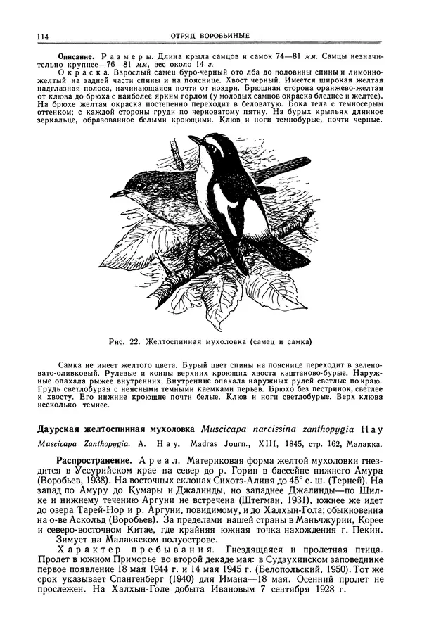  Коллектив авторов - Птицы Советского Союза. Том 6 - Страница № 114