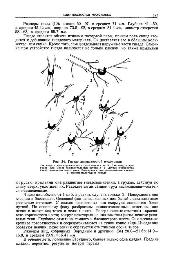  Коллектив авторов - Птицы Советского Союза. Том 6 - Страница № 121