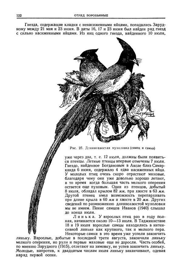  Коллектив авторов - Птицы Советского Союза. Том 6 - Страница № 122