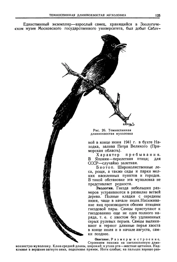  Коллектив авторов - Птицы Советского Союза. Том 6 - Страница № 125