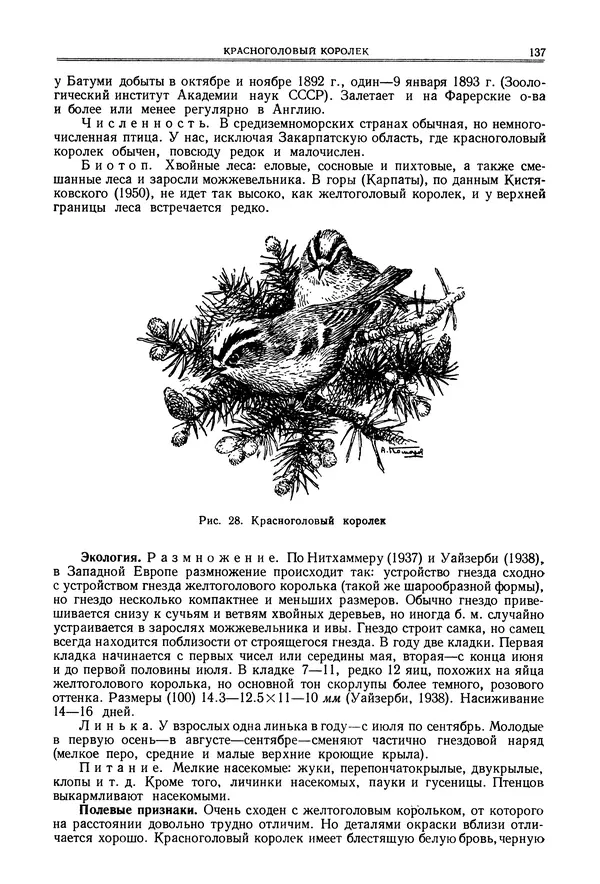 Коллектив авторов - Птицы Советского Союза. Том 6 - Страница № 137
