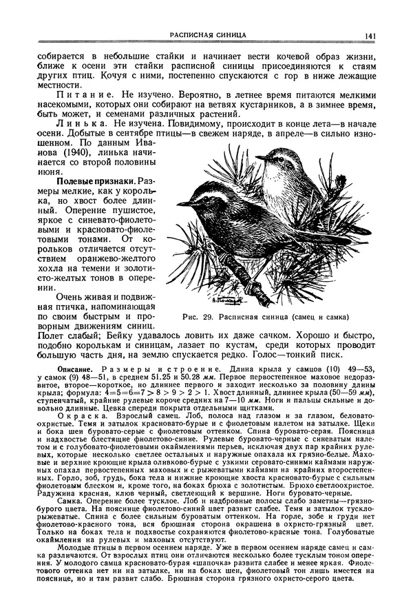  Коллектив авторов - Птицы Советского Союза. Том 6 - Страница № 141