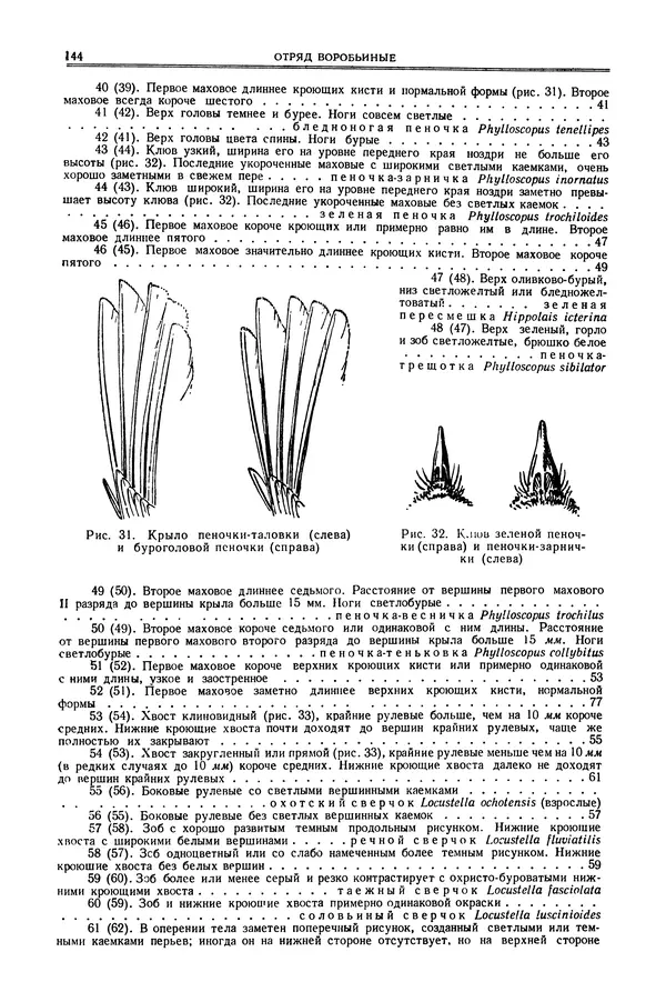  Коллектив авторов - Птицы Советского Союза. Том 6 - Страница № 144