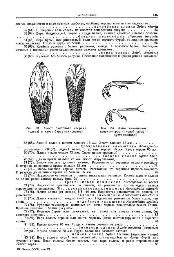  Коллектив авторов - Птицы Советского Союза. Том 6 - Страница № 145