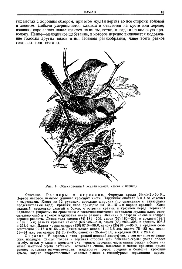  Коллектив авторов - Птицы Советского Союза. Том 6 - Страница № 15