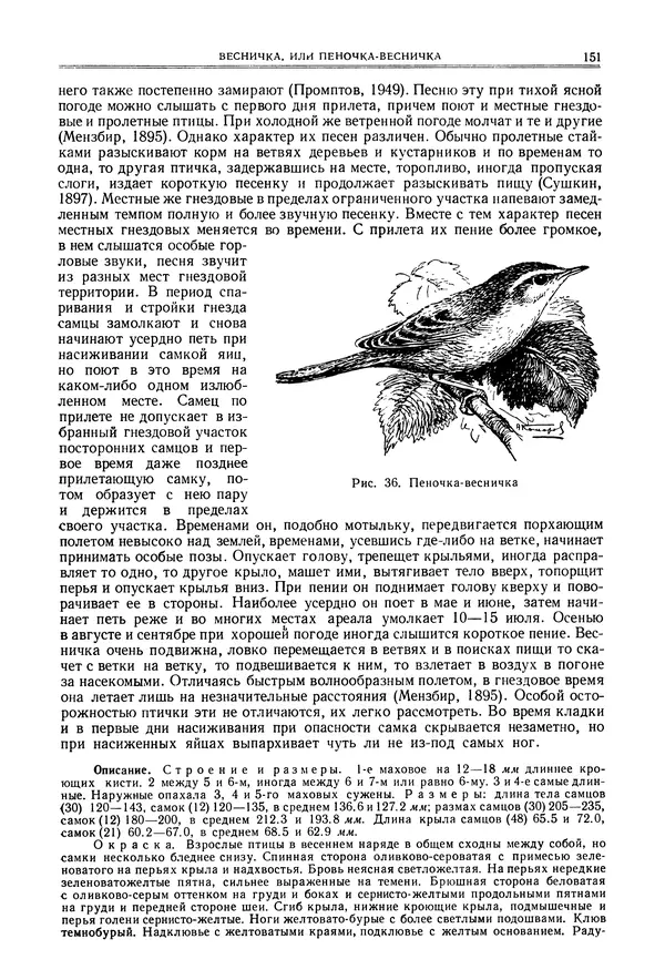  Коллектив авторов - Птицы Советского Союза. Том 6 - Страница № 151