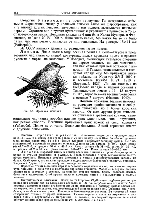  Коллектив авторов - Птицы Советского Союза. Том 6 - Страница № 164