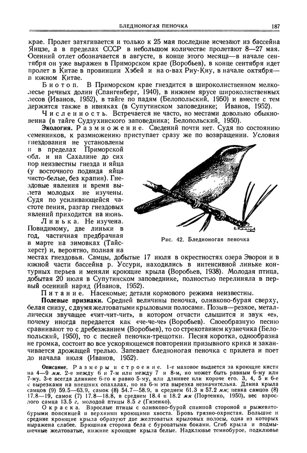  Коллектив авторов - Птицы Советского Союза. Том 6 - Страница № 187