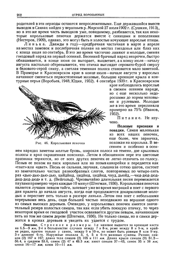  Коллектив авторов - Птицы Советского Союза. Том 6 - Страница № 202
