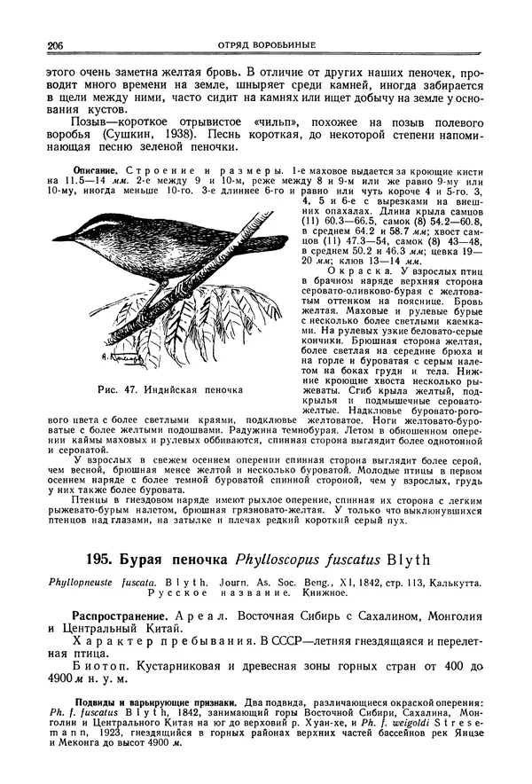  Коллектив авторов - Птицы Советского Союза. Том 6 - Страница № 206