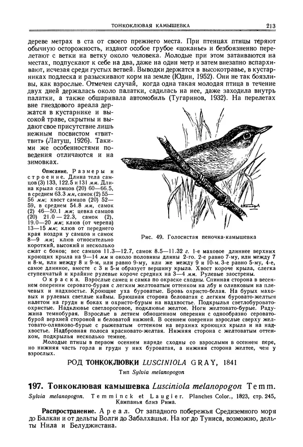  Коллектив авторов - Птицы Советского Союза. Том 6 - Страница № 213