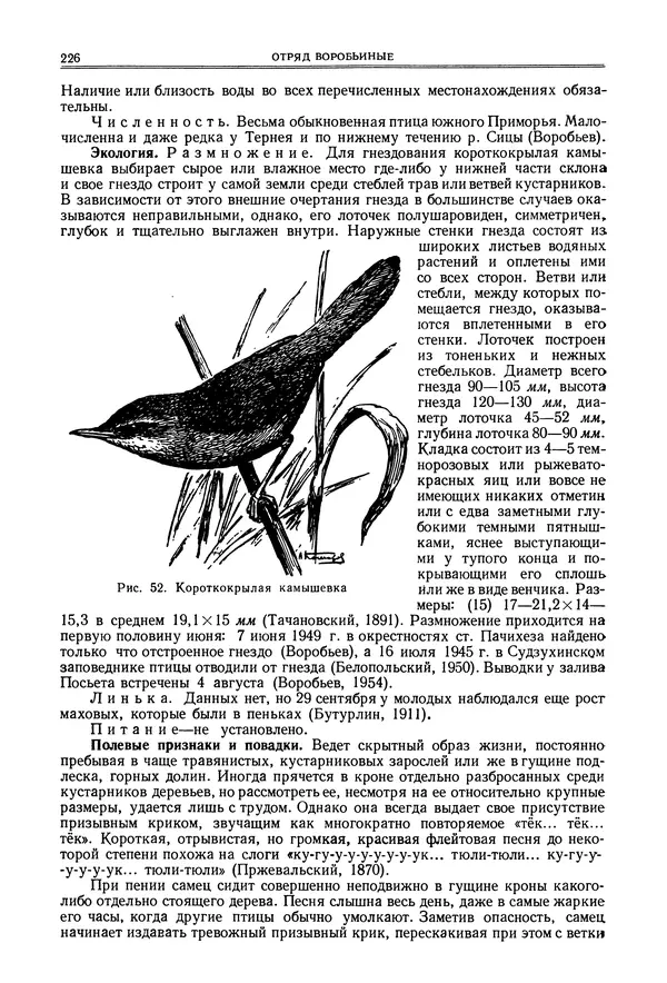  Коллектив авторов - Птицы Советского Союза. Том 6 - Страница № 226