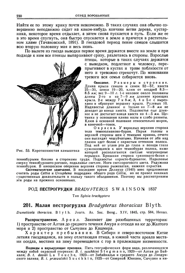  Коллектив авторов - Птицы Советского Союза. Том 6 - Страница № 230