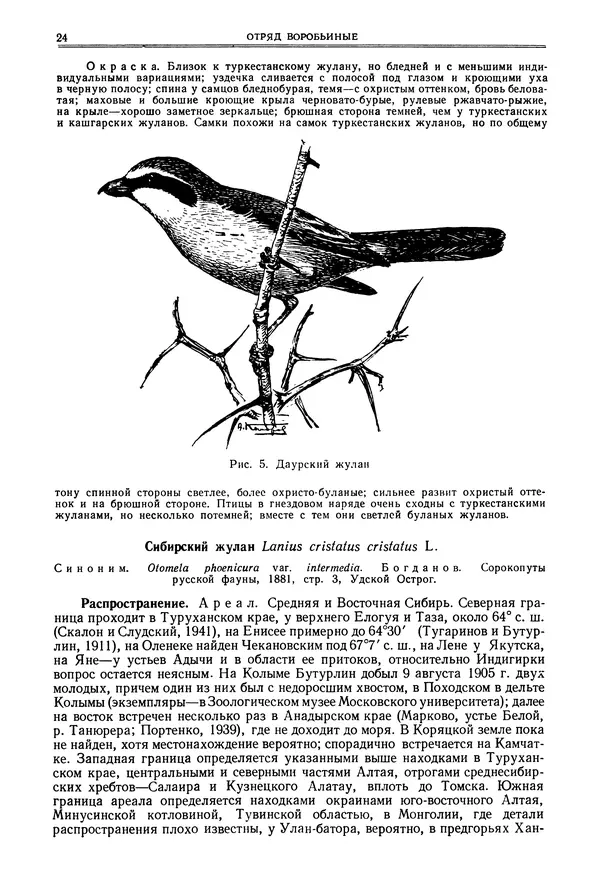  Коллектив авторов - Птицы Советского Союза. Том 6 - Страница № 24