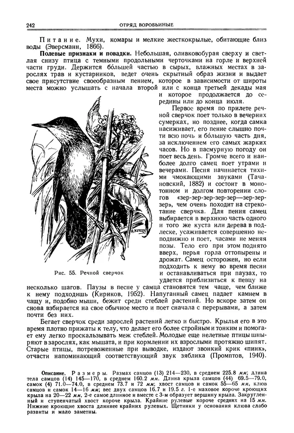  Коллектив авторов - Птицы Советского Союза. Том 6 - Страница № 242