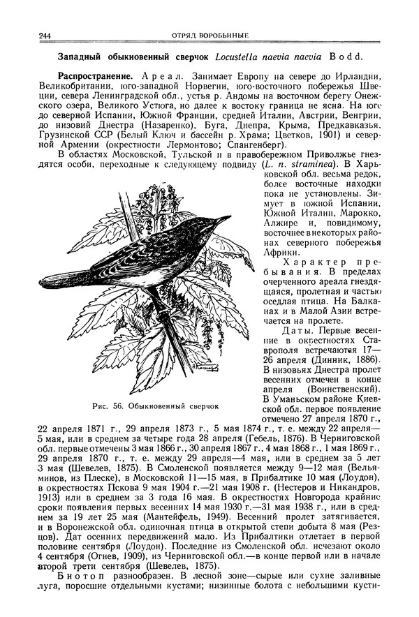  Коллектив авторов - Птицы Советского Союза. Том 6 - Страница № 244