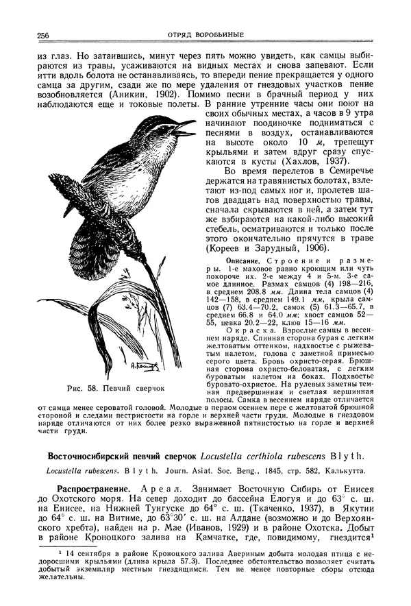  Коллектив авторов - Птицы Советского Союза. Том 6 - Страница № 256