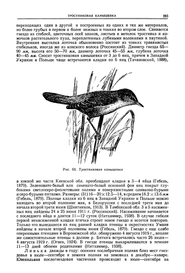  Коллектив авторов - Птицы Советского Союза. Том 6 - Страница № 283