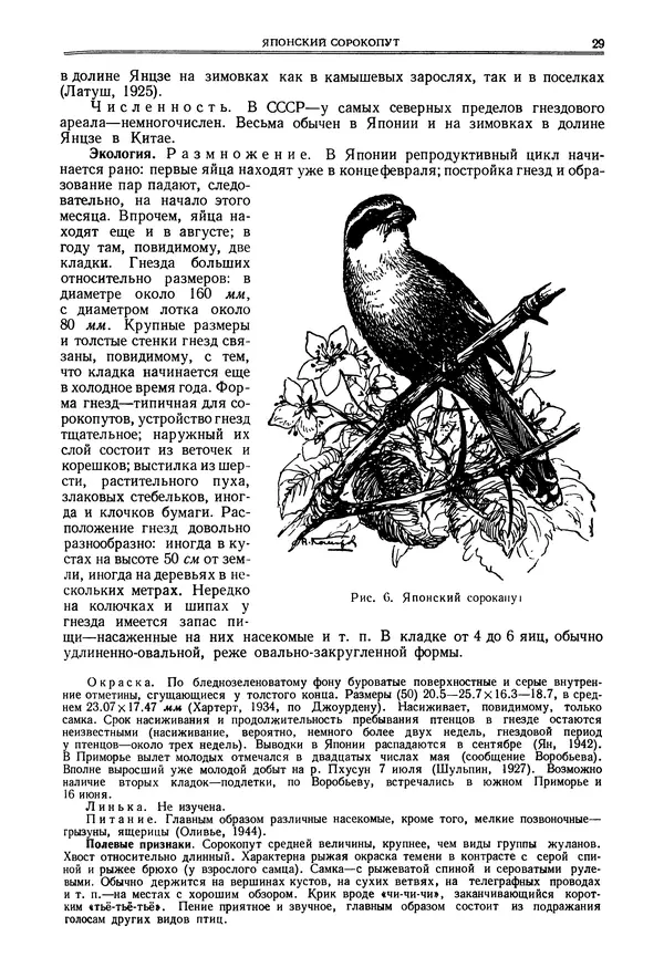  Коллектив авторов - Птицы Советского Союза. Том 6 - Страница № 29