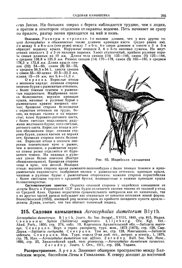  Коллектив авторов - Птицы Советского Союза. Том 6 - Страница № 295