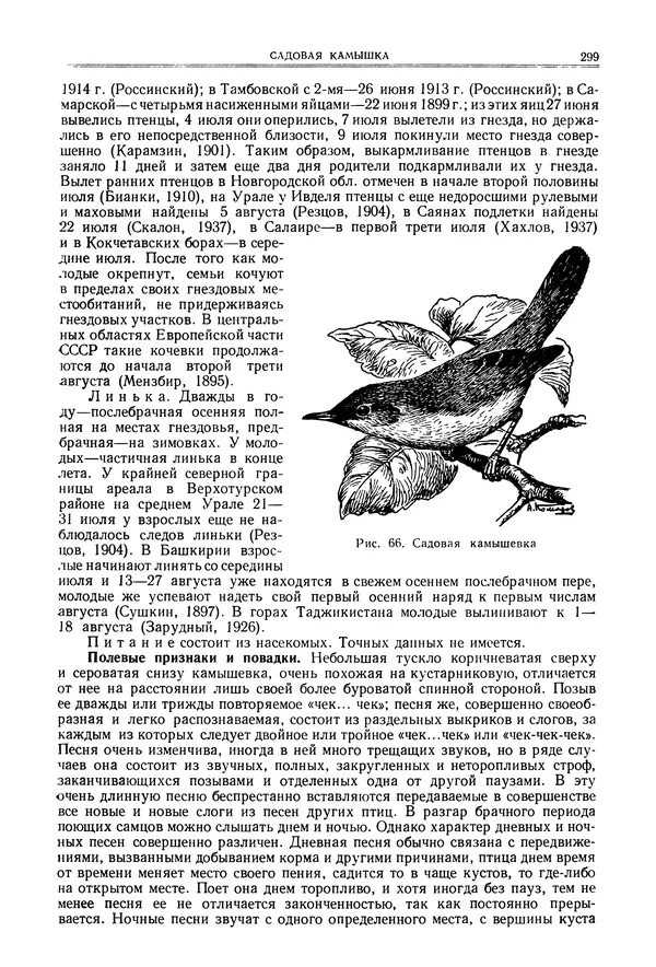  Коллектив авторов - Птицы Советского Союза. Том 6 - Страница № 299