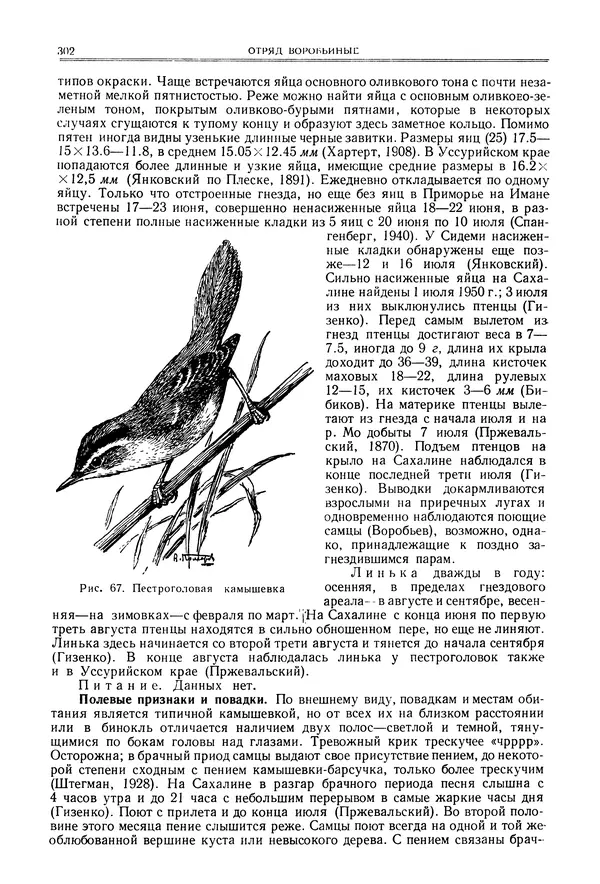  Коллектив авторов - Птицы Советского Союза. Том 6 - Страница № 302