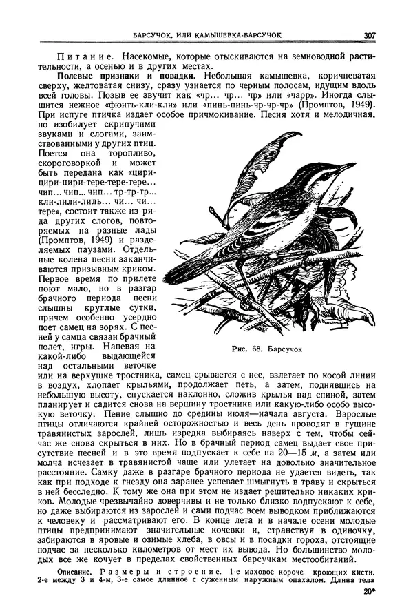  Коллектив авторов - Птицы Советского Союза. Том 6 - Страница № 307