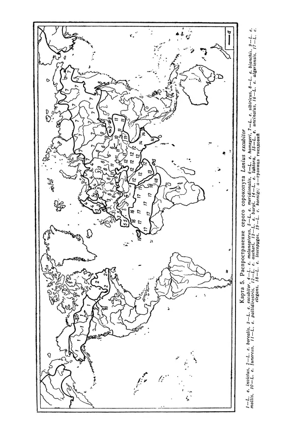  Коллектив авторов - Птицы Советского Союза. Том 6 - Страница № 31