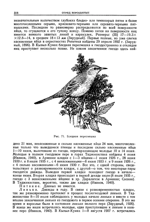  Коллектив авторов - Птицы Советского Союза. Том 6 - Страница № 318