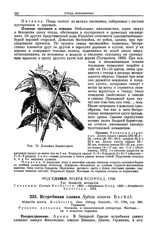 Коллектив авторов - Птицы Советского Союза. Том 6 - Страница № 330