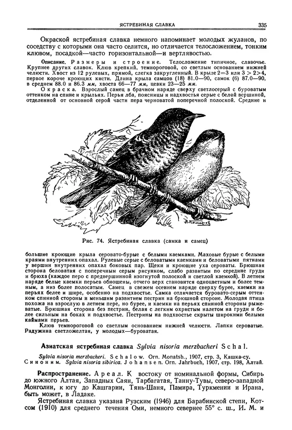  Коллектив авторов - Птицы Советского Союза. Том 6 - Страница № 335