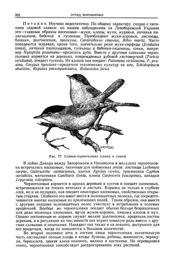  Коллектив авторов - Птицы Советского Союза. Том 6 - Страница № 352