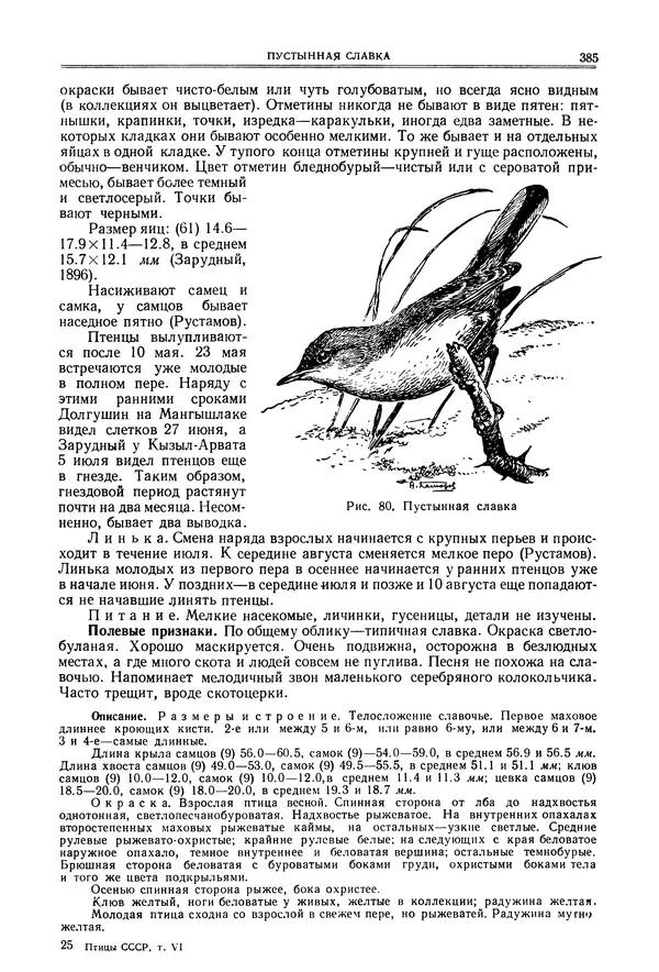  Коллектив авторов - Птицы Советского Союза. Том 6 - Страница № 385