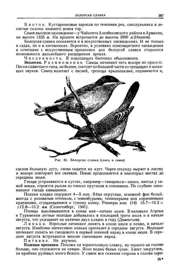  Коллектив авторов - Птицы Советского Союза. Том 6 - Страница № 387
