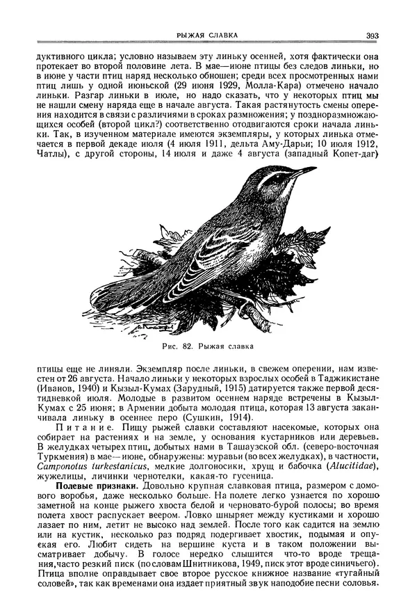  Коллектив авторов - Птицы Советского Союза. Том 6 - Страница № 393