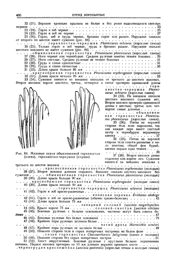  Коллектив авторов - Птицы Советского Союза. Том 6 - Страница № 400