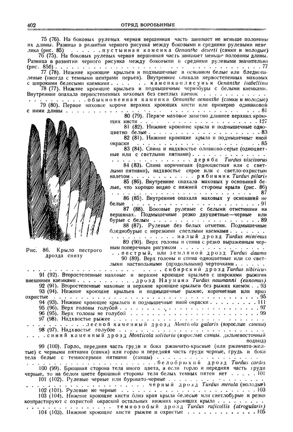  Коллектив авторов - Птицы Советского Союза. Том 6 - Страница № 402