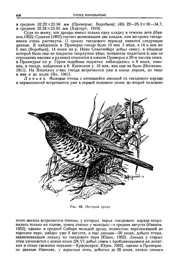  Коллектив авторов - Птицы Советского Союза. Том 6 - Страница № 408