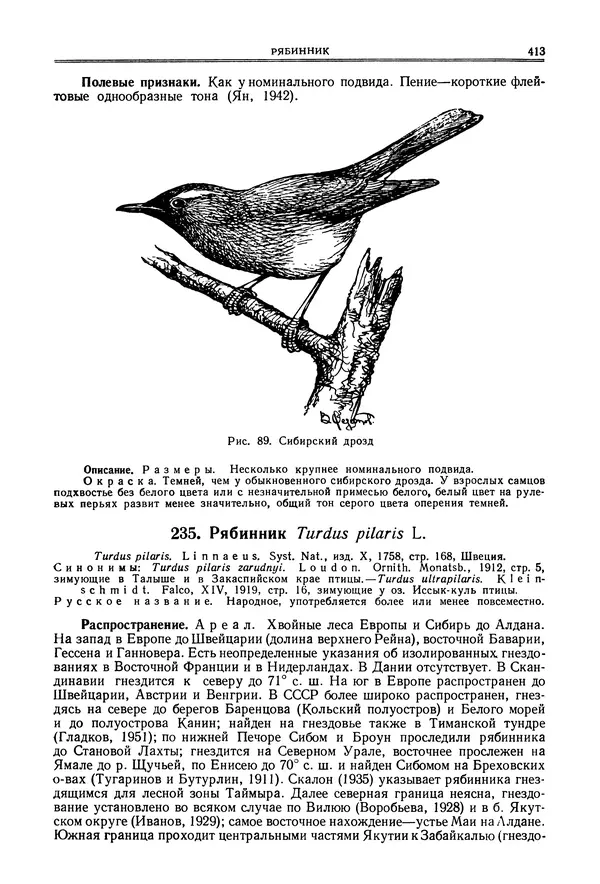  Коллектив авторов - Птицы Советского Союза. Том 6 - Страница № 413